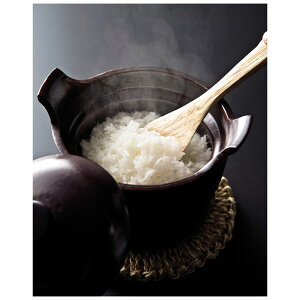 TSUTSUMI ̌bB A657 OCEAN&TERRE [J[