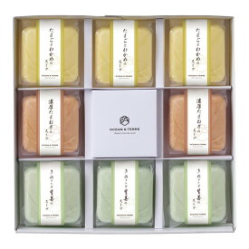 フリーズドライスープ最中セットB A696 OCEAN&TERRE メーカー直送