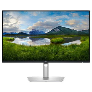 P2425D DELL Dell Pro Plus [23.8^Ch tfBXvC]