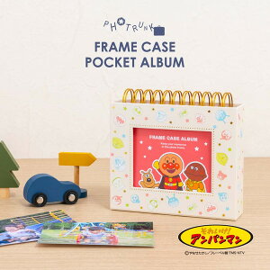 A-FTPC-213-1 Nakabayashi [tHgN t[P[XL Ap}]