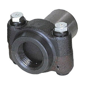 1701NH jbvA^b`g 3 NA[80 REX(bLX) [J[