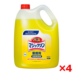 y4Zbgzԉ oX}WbN Ɩp 4.5L