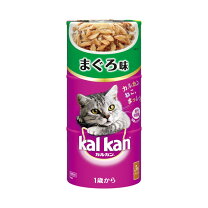 楽天市場】猫 缶 アウトレット（猫用品｜ペット・ペットグッズ）の通販
