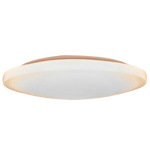 �V�� tsuita TC102 ���{�h�ЃX�L�[�� [�m��LED�V�[�����O���C�g (�`8��/���F�E����) �����R���t��]