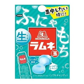 森永製菓 生ラムネ玉 32g ×10 メーカー直送 プレゼント ギフト