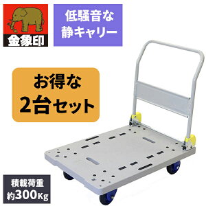 �y2�Z�b�g�z�󍁍H�� �����L�����[ NP-300DXL ���[�J�[����