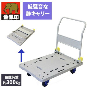 �����L�����[ NP-300DXL �󍁍H��