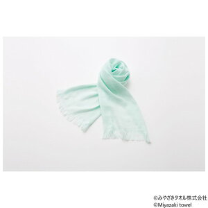 �����}�t���[ �G�R 160cm×34cm No.1 �~���g�u���[ �݂₴���^�I��
