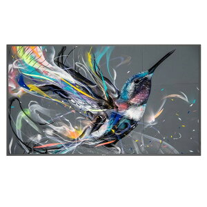 65BDL3511Q/11 PHILIPS [65�^ 4K �t���f�B�X�v���C (�T�C�l�[�W)]