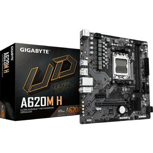 A620M H Rev2 GIGABYTE �u���b�N [�}�U�[�{�[�h]