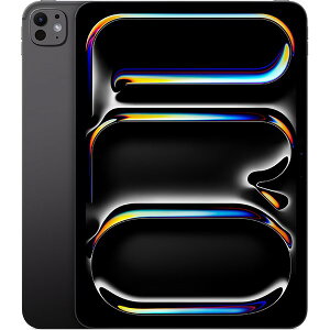 MDWK4J/A APPLE �X�y�[�X�u���b�N iPad Pro [�^�u���b�gPC 11�^ / iOS ]