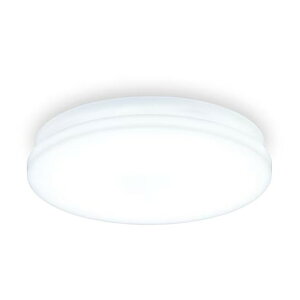 SCL12D-U2 �A�C���X�I�[���} [LED���^�V�[�����O���C�g (���`�^�C�v 1200lm �����F)]