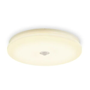 SCL20L-MS-U2 �A�C���X�I�[���} [LED���^�V�[�����O���C�g (���`�^�C�v 2000lm �d���F �l���Z���T�[�t)]