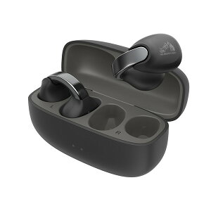 HA-NP1T-B JVC �R�[���u���b�N Victor nearphones [�C���[�J�t�X�^�C�����S���C�����X�C���z��]