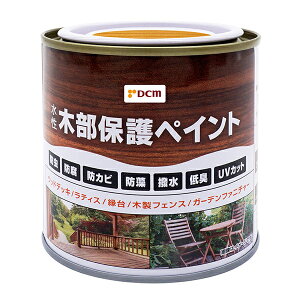 �����ؕ��ی�y�C���g �P���L 0.2L DCM