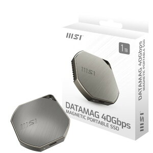 DATAMAG 40Gbps 1TB MSI [�O�t���|�[�^�u��SSD (1TB)]