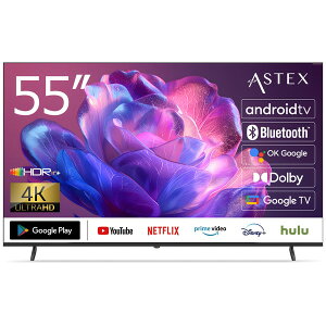 55GTN Wis [55V�^ 4K Google�`���[�i�[���X �t���e���r]
