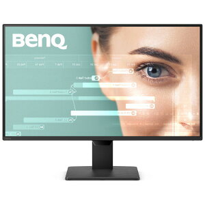 GW2490P BENQ �u���b�N �A�C�P�AGW [23.8 �^ �t��HD �t���f�B�X�v���C]
