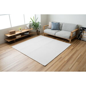 1297530144102 �~�� ���O(�{���f�B���O���O) �}�J�� IV 130×180cm �C�P�q�R�E�R�[�|���[�V���� ���[�J�[����