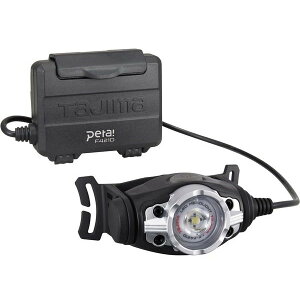 �^�W�} LED�w�b�h���C�g F421D �V����