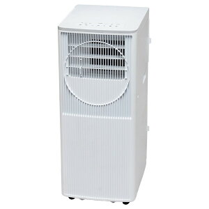 TAD-P30R TOYOTOMI �z���C�g [�X�|�b�g�N�[���[]