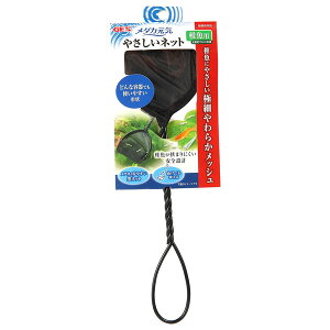 yGg[P5{!2020:00-271:59z WFbNX _JC ₳lbg tp