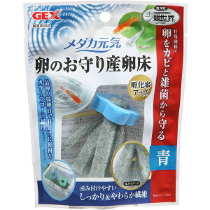 WFbNX _JC ̂Y  Ϗ܋p |p