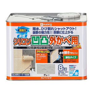 JynsI VRʊOחp O[ 8K