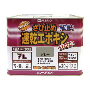 �J���y�n�s�I �����G�|�L�V���ю~�� �O���[ 7L