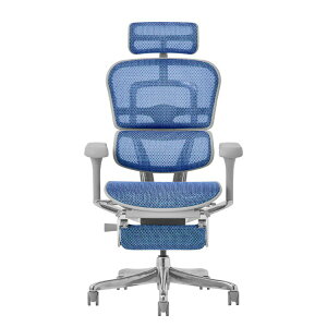 507921 EHP2-LPL-5D-DR-GF-BL �։Ƌ� �O���[�t���[��/�u���[���b�V�� Pro2 Ottoman [�I�t�B�X�`�F�A] ���[�J�[����