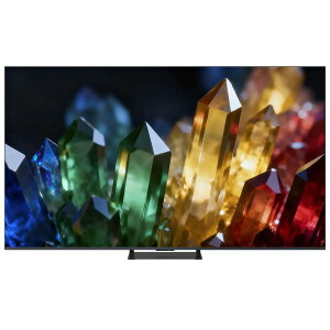 55ZX3S TVS REGZA [55V�^ �n��EBS�E110�xCS�f�W�^�� 4K�`���[�i�[���� �t���e���r]