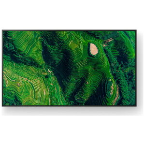 FW-65BZ35P SONY BRAVIA [65�^ �t���f�B�X�v���C] ���[�J�[����