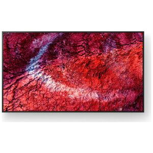 FW-55BZ40P SONY BRAVIA [55�^ �t���f�B�X�v���C] ���[�J�[����
