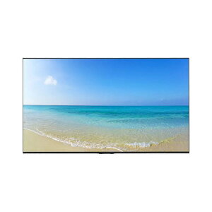 TD-C654 TVS REGZA [65�^ �t���f�B�X�v���C] ���[�J�[����