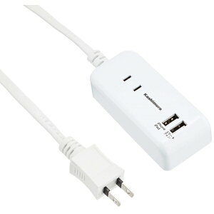 JV NTI-174 zCg [ECOp 2d^bv A^Cv 2USB 2.1A 1m]