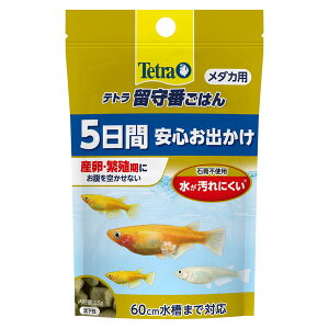 アクアリウム用 エサ メダカの人気商品 通販 価格比較 価格 Com アクアリウム用 エサ メダカの人気商品 通販 価格比較 価格 Com