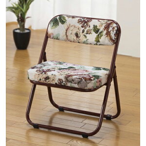 ֎q RpNg i ܂肽 y Su 1r ֎q ֎q  `FA Su  킢 [ ^ (03858) t@~[ECt [J[ V