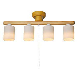 �������^���H�� HC-203P-4WH [�m��LED�V�[�����O���C�g] �V����