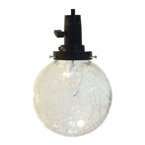 ^H BCH140 NA [my_gCg]