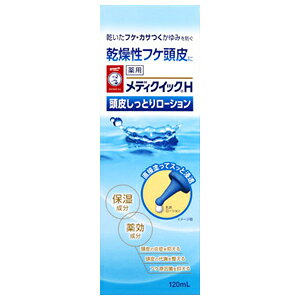 \[^ fBNCbNH 炵Ƃ胍[V 120ml [g