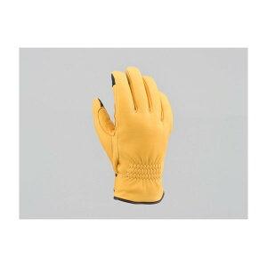 fCgi D17581 HBG-057 YDEB^[O[u L L