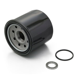 fCgi D17910 vCX ICtB^[ MT-10 ICp[tFNgZbg