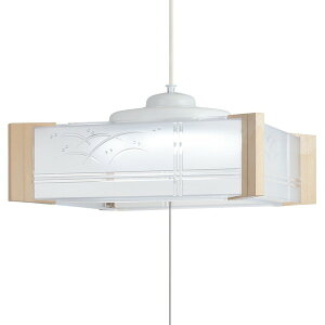 z^NX HCDA0669 [ aLEDy_gCg(`6/) ]