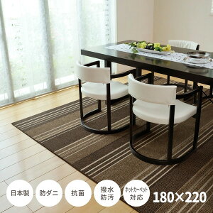  @\ t { _CjOO }[W 180cm×220cm uE [J[