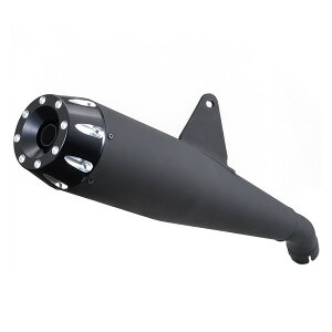 fCgi D16982 }t[ u250/ABS/S Edition Kz^Cv}t[ ubNGh