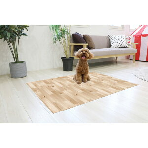 aOrA INSF-203 N x[W ybgphELEh}bg 90cm×120cm