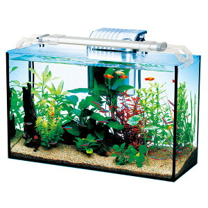 水槽 熱帯魚 飼育セットの人気商品 通販 価格比較 価格 Com