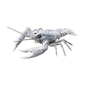 楽天市場 ホワイトザリガニ 販売の通販 楽天市場 ホワイトザリガニ 販売の通販