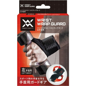 RYƊ NAS 396916 }WRX|g [XgbvK[h p 1 jp]