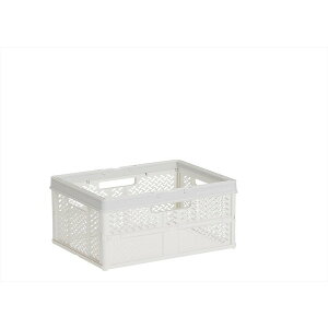 Vn PRX ܂肽݃oXPbg nht S X[L[zCg